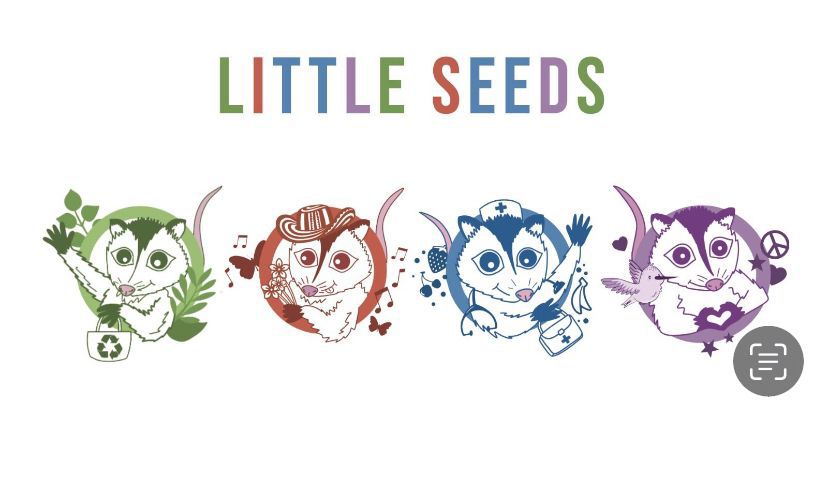 Inicio - littleseeds.com.co